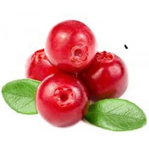 Arándanos Rojos (Cranberries) Deshidratada