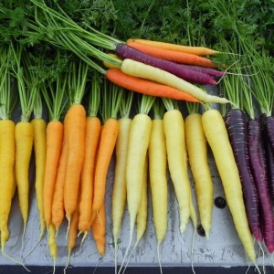 Zanahoria Arcoiris Organica  (Bolsita 700gr)